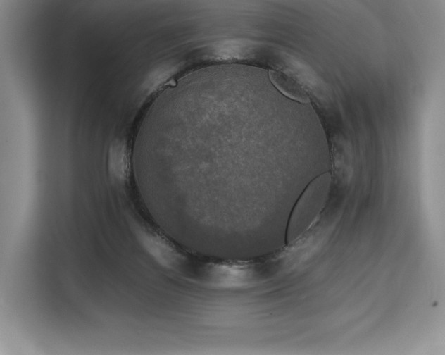 X0000110320164200905211533