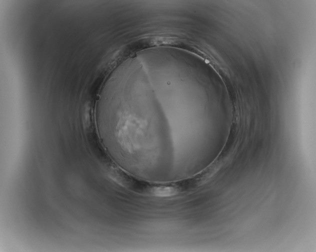 X0000110320169200905211533