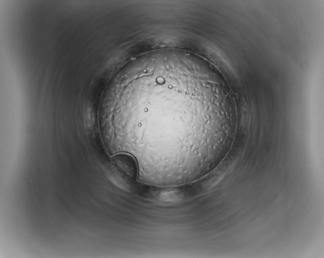 X0000110320173200905211533
