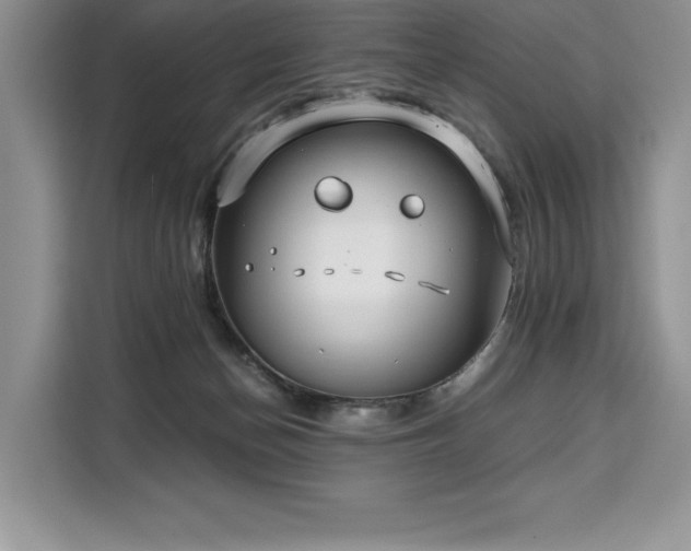X0000110320174200905211533