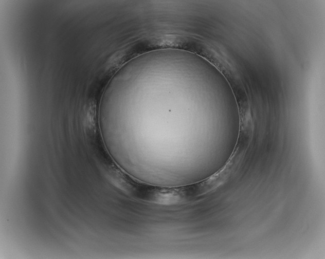 X0000110320175200905211533