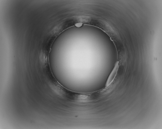 X0000110320176200905211533
