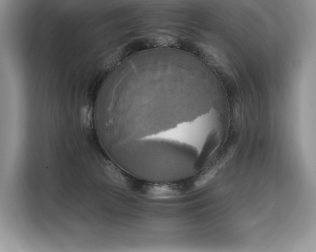 X0000110320177200905211533