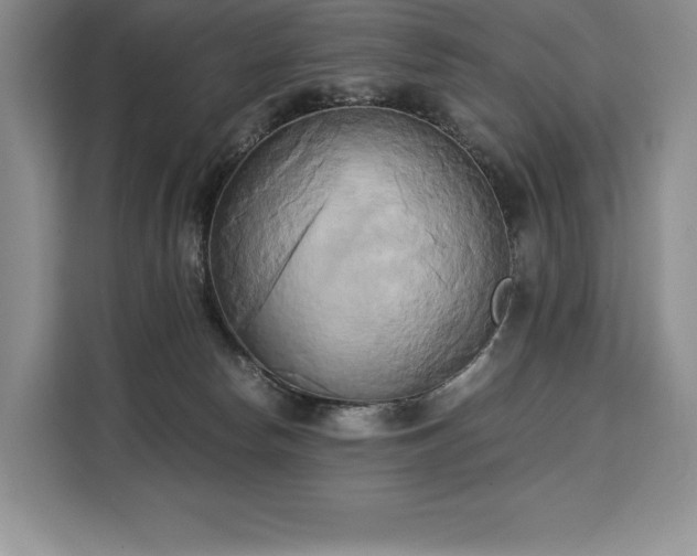 X0000110320178200905211533