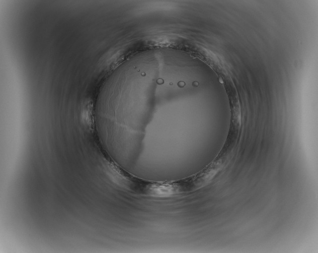 X0000110320181200905211534