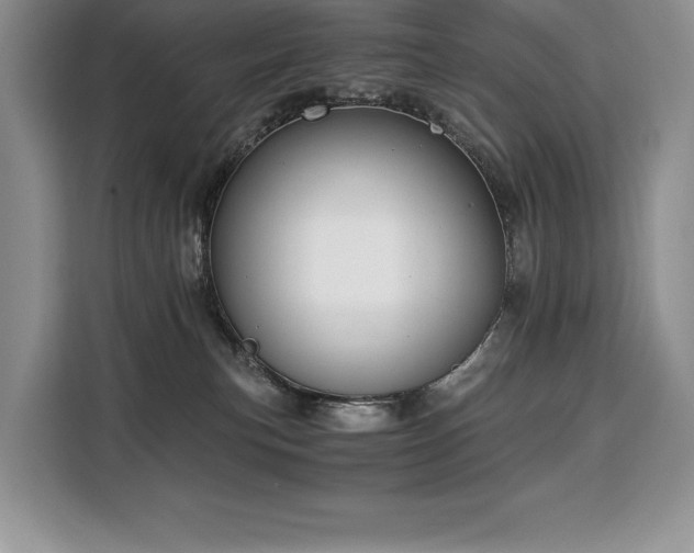 X0000110320183200905211534