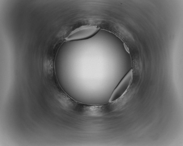 X0000110320184200905211534