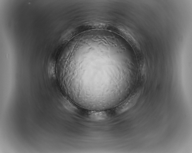 X0000110320185200905211534