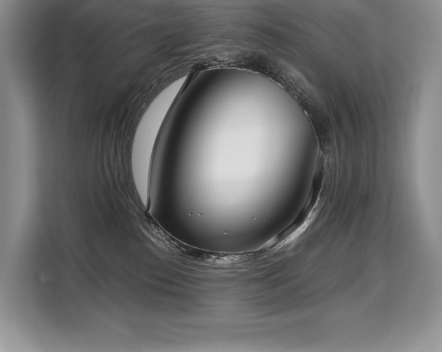 X0000110320186200905211534