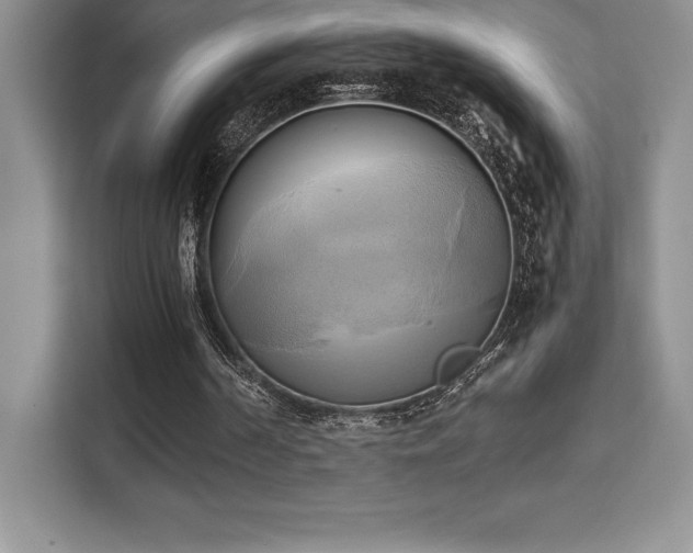 X0000110320194200905211533