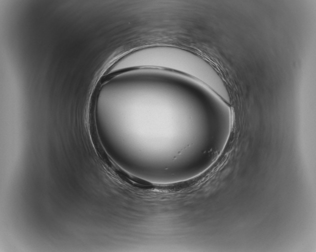 X0000110320195200905211533