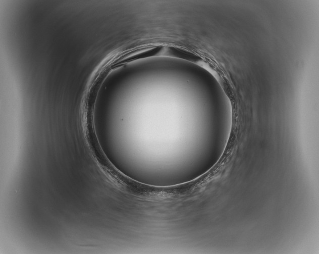 X0000110320197200905211533