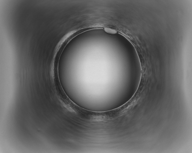 X0000110320200200905211533