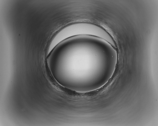 X0000110320201200905211533