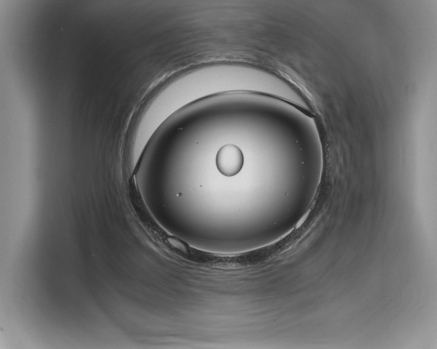 X0000110320203200905211533
