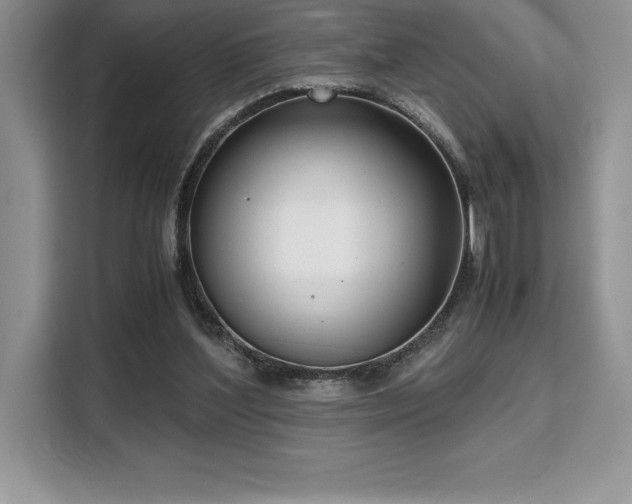 X0000110320204200905211533