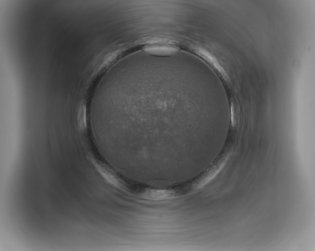 X0000110320205200905211533