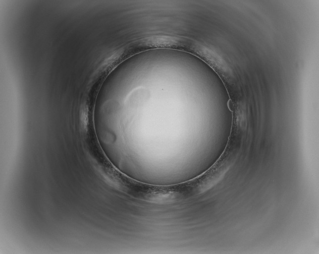 X0000110320206200905211533