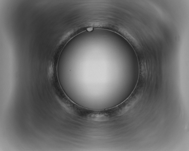 X0000110320208200905211533