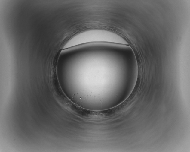 X0000110320215200905211533