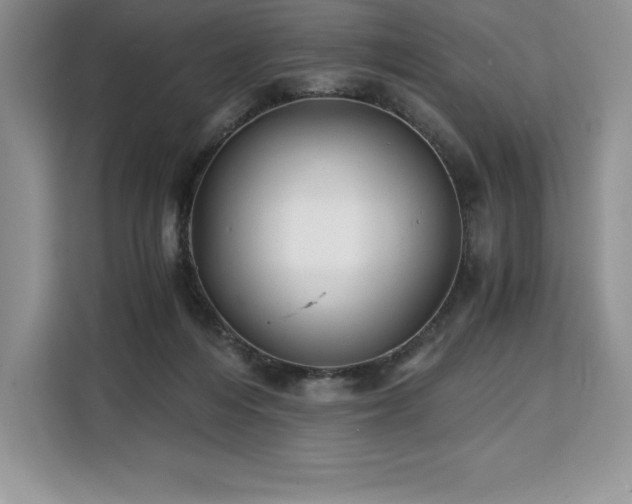 X0000110320216200905211533