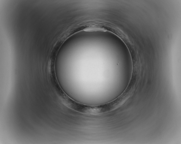 X0000110320217200905211533