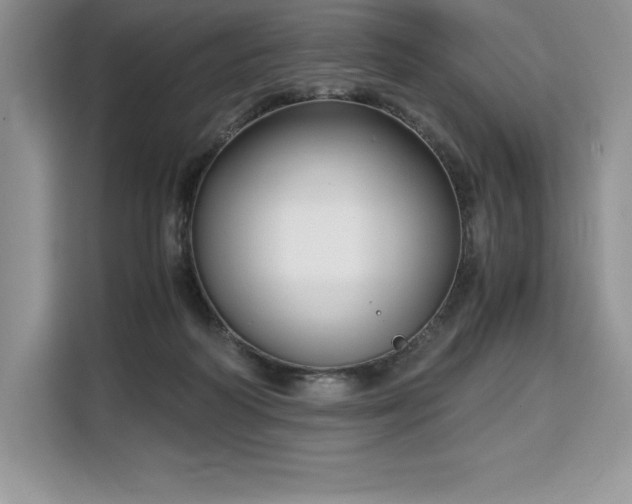 X0000110320218200905211533