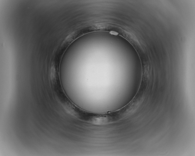 X0000110320220200905211533