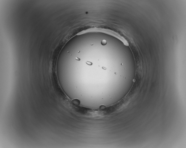 X0000110320221200905211533