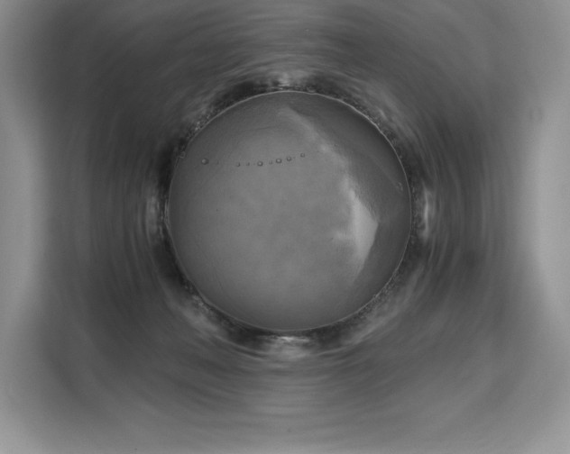 X0000110320222200905211533