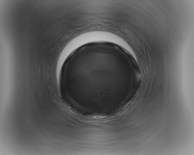 X0000110320223200905211533