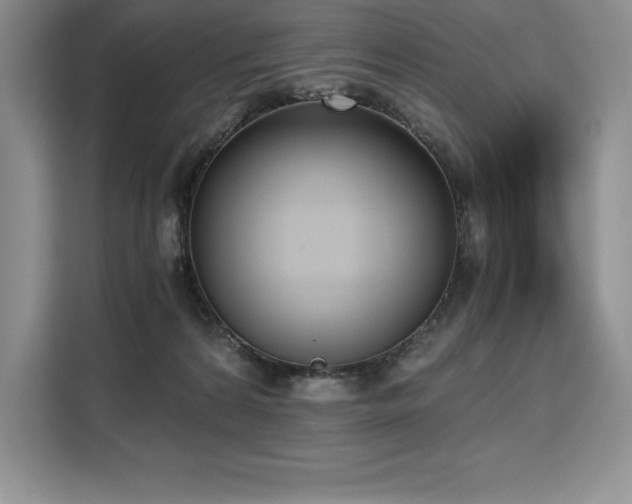 X0000110320224200905211533