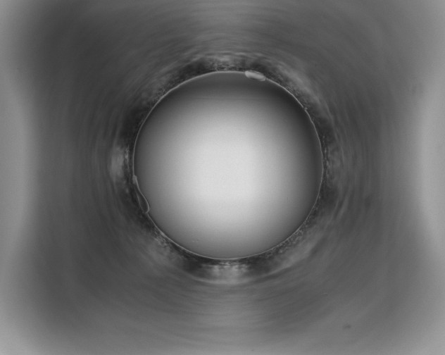 X0000110320225200905211533