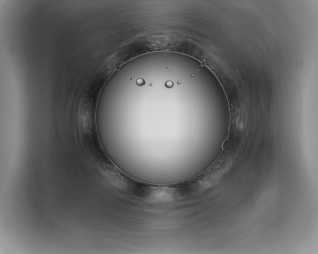 X0000110320226200905211533