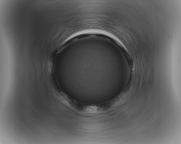 X0000110320227200905211533