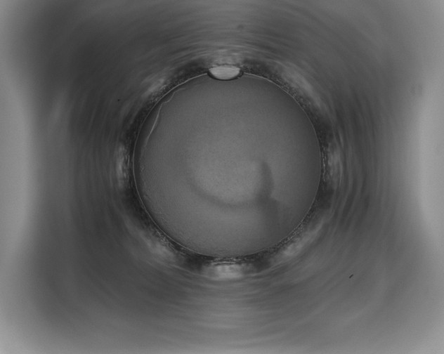 X0000110320228200905211533