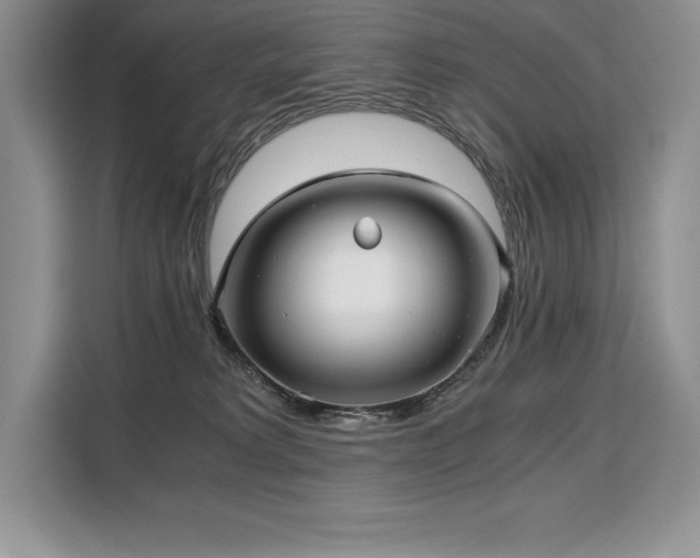 X0000110320229200905211533