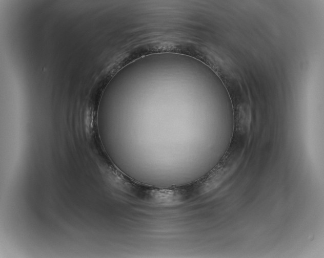 X0000110320230200905211533