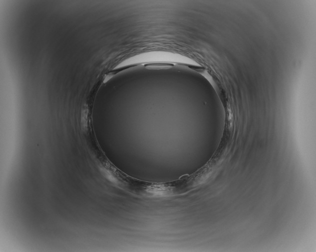 X0000110320231200905211533