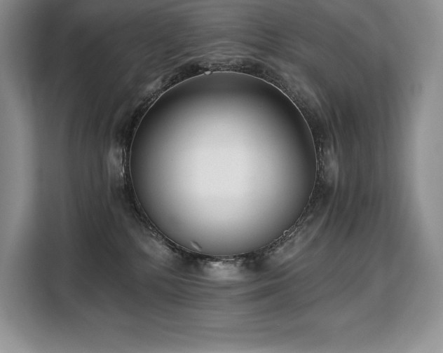X0000110320232200905211533