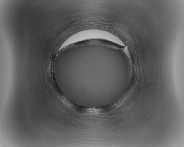 X0000110320233200905211533
