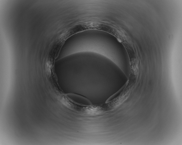 X0000110320235200905211532