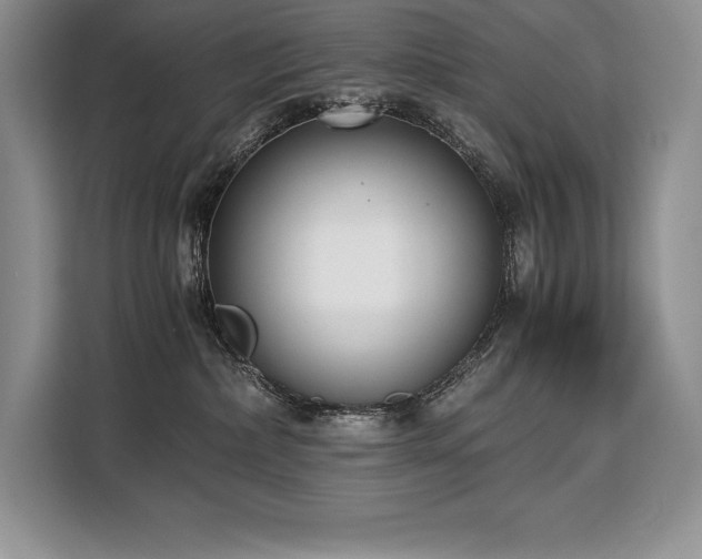 X0000110320236200905211532