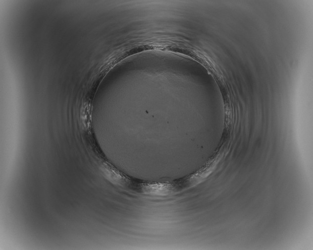 X0000110320237200905211532