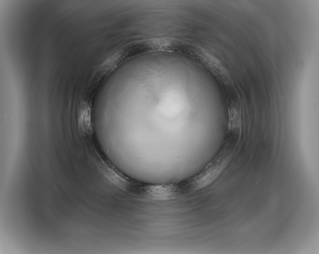 X0000110320238200905211532