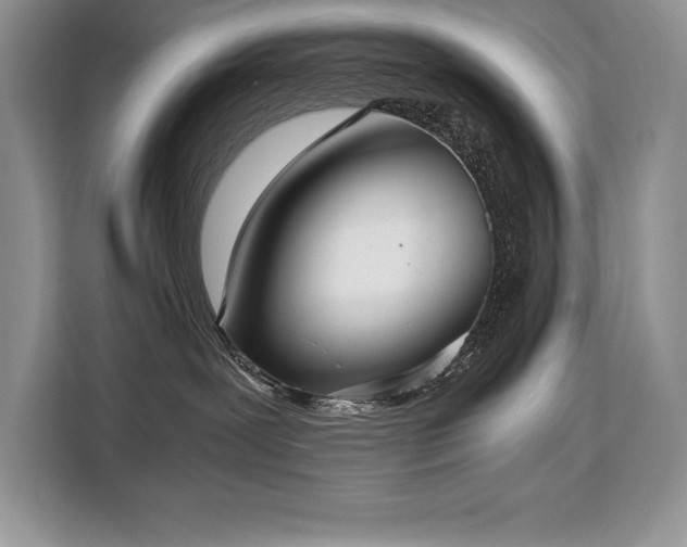 X0000110320239200905211532