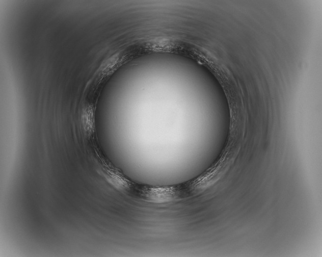 X0000110320240200905211532