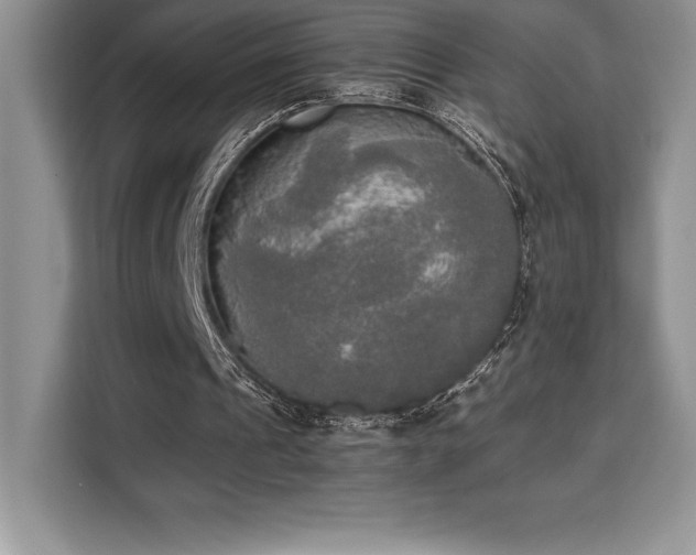 X0000110320241200905211532