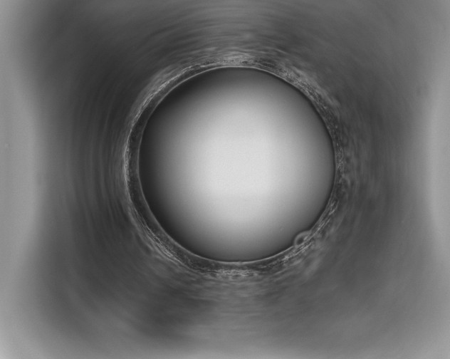 X0000110320242200905211532