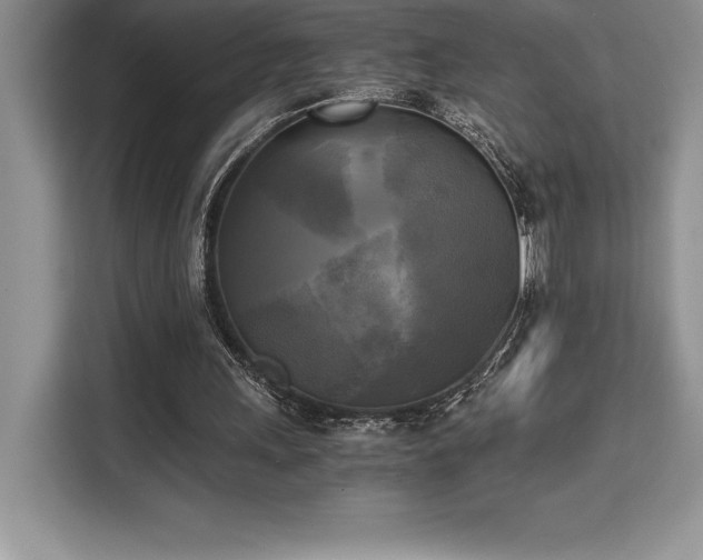 X0000110320243200905211532